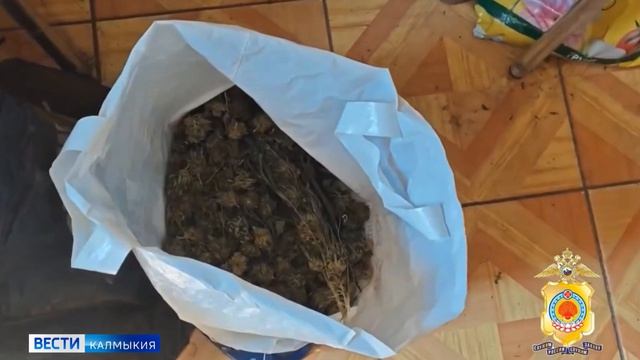 В️ести Калмыкия. В Элисте у двоих мужчин изъяли более 1,6 кг запрещённых веществ