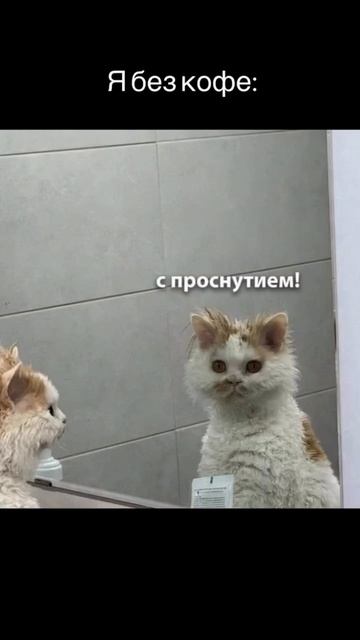 Жизнь слишком коротка, чтобы пропускать кофе. Особенно если он уже ждёт тебя в Тесто 🫶🏻