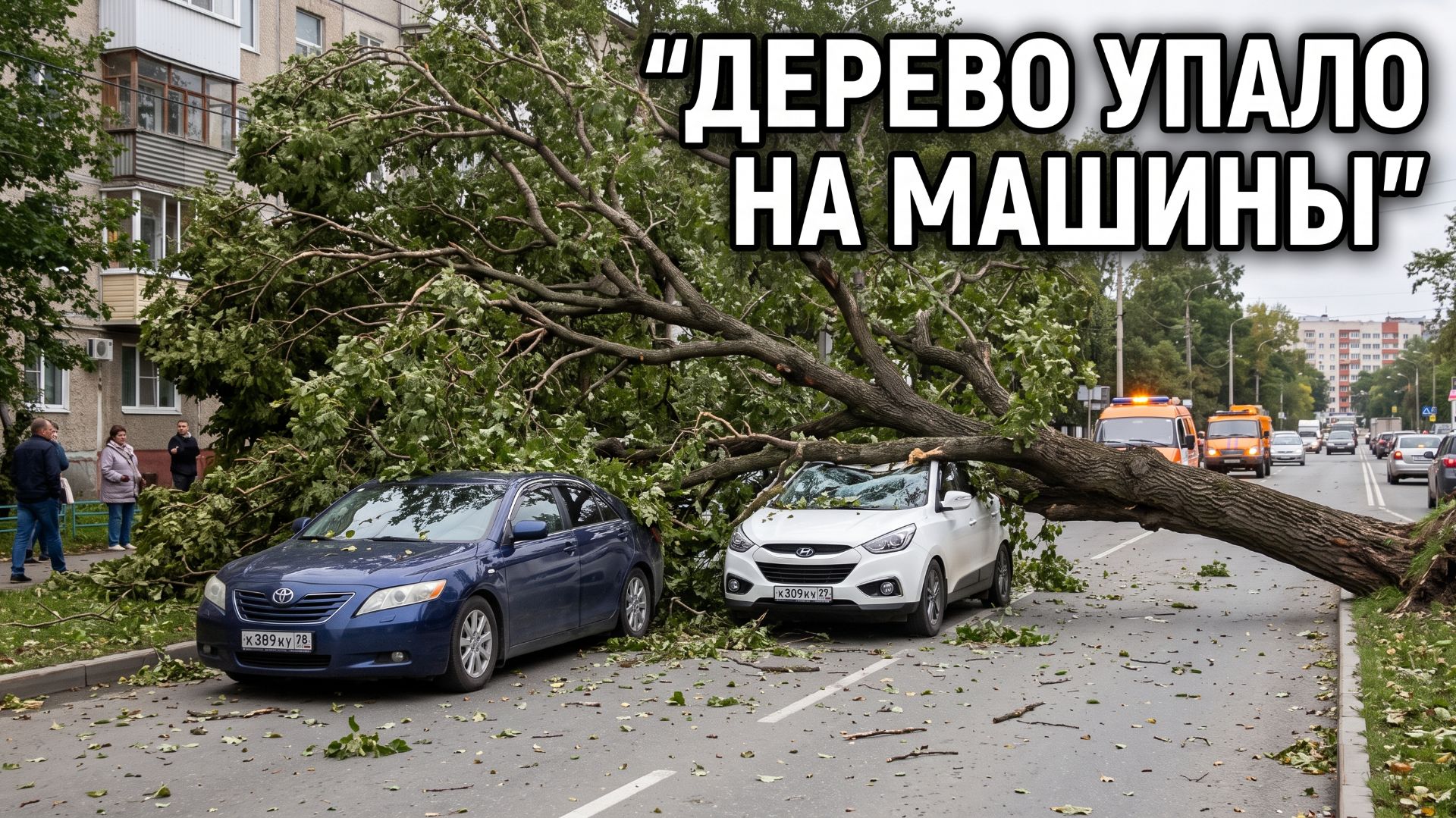 Огромное дерево рухнуло на машины в Южно-Сахалинске: автомобили оказались под завалами