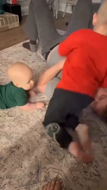 смешные видео
