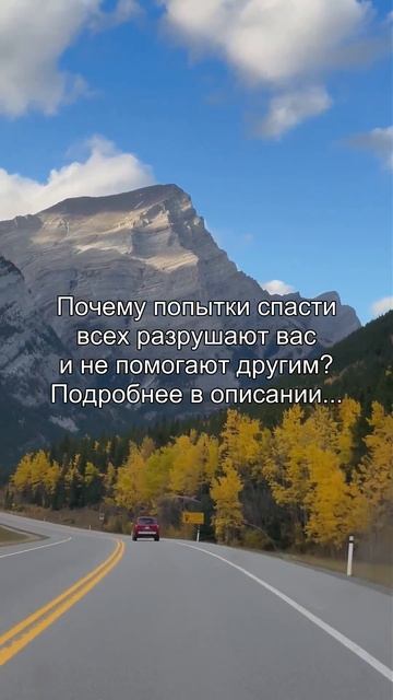 .Почему попытки спасти
всех разрушают вас
и не помогают другим?
Подробнее в описании...