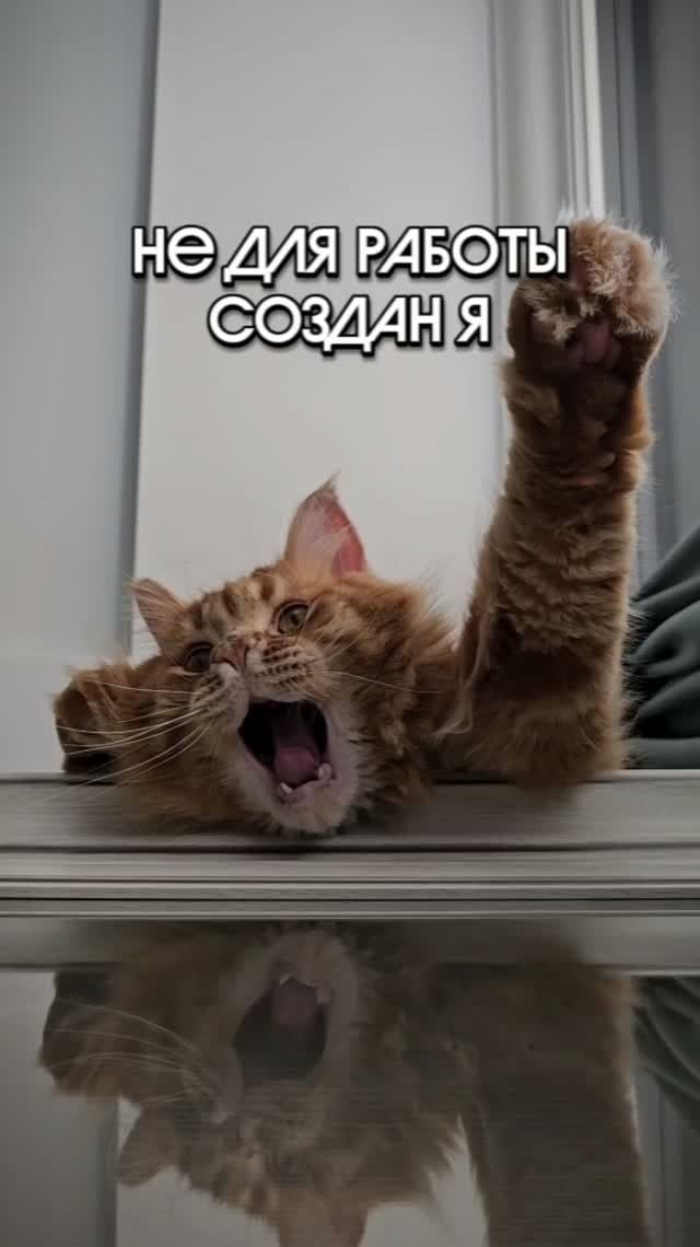 Не для работы создан я