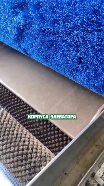 24.08.2026 Что уже выполнено во время ТО линии сортировки яблок, где его не было несколько лет