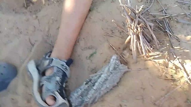 99ночей в лесу в кавычках