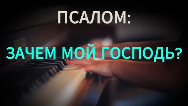 (23.08.2026) - 