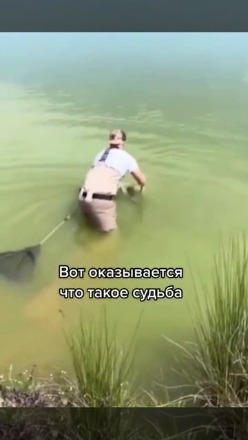От судьбы не убежишь
