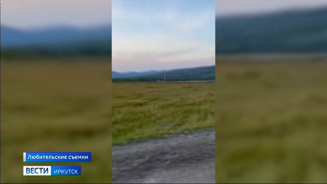 В Прибайкалье медведи все чаще выходят из леса к людям