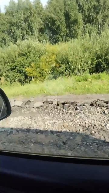 Жители пожаловались на разбитую дорогу в Целинном округе 1