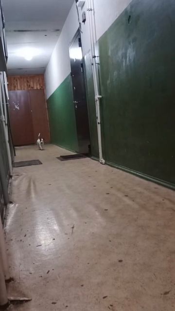 🐕