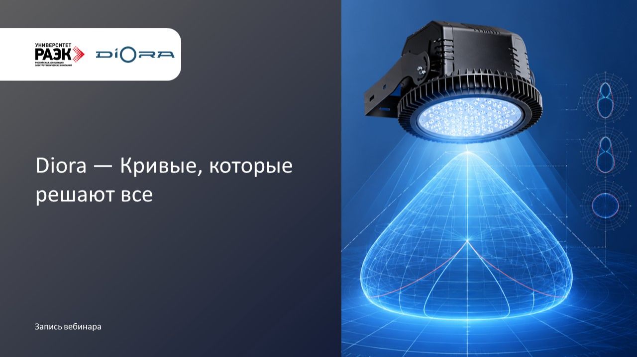 Diora - Кривые, которые решают все