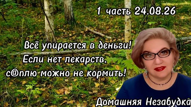 1 часть. Всё упирается в деньги 🤑 ❗️Если нет лекарств, то с@плю можно не кормить❗️