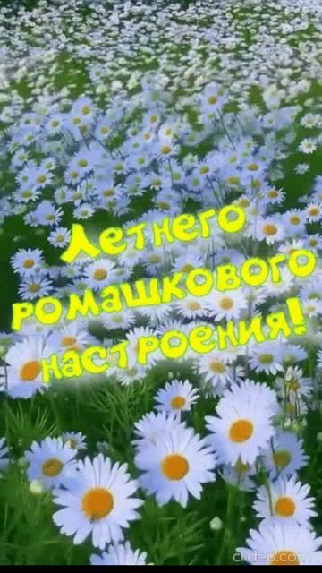 УТРА ВАМ ДОБРОГО. Shorts.