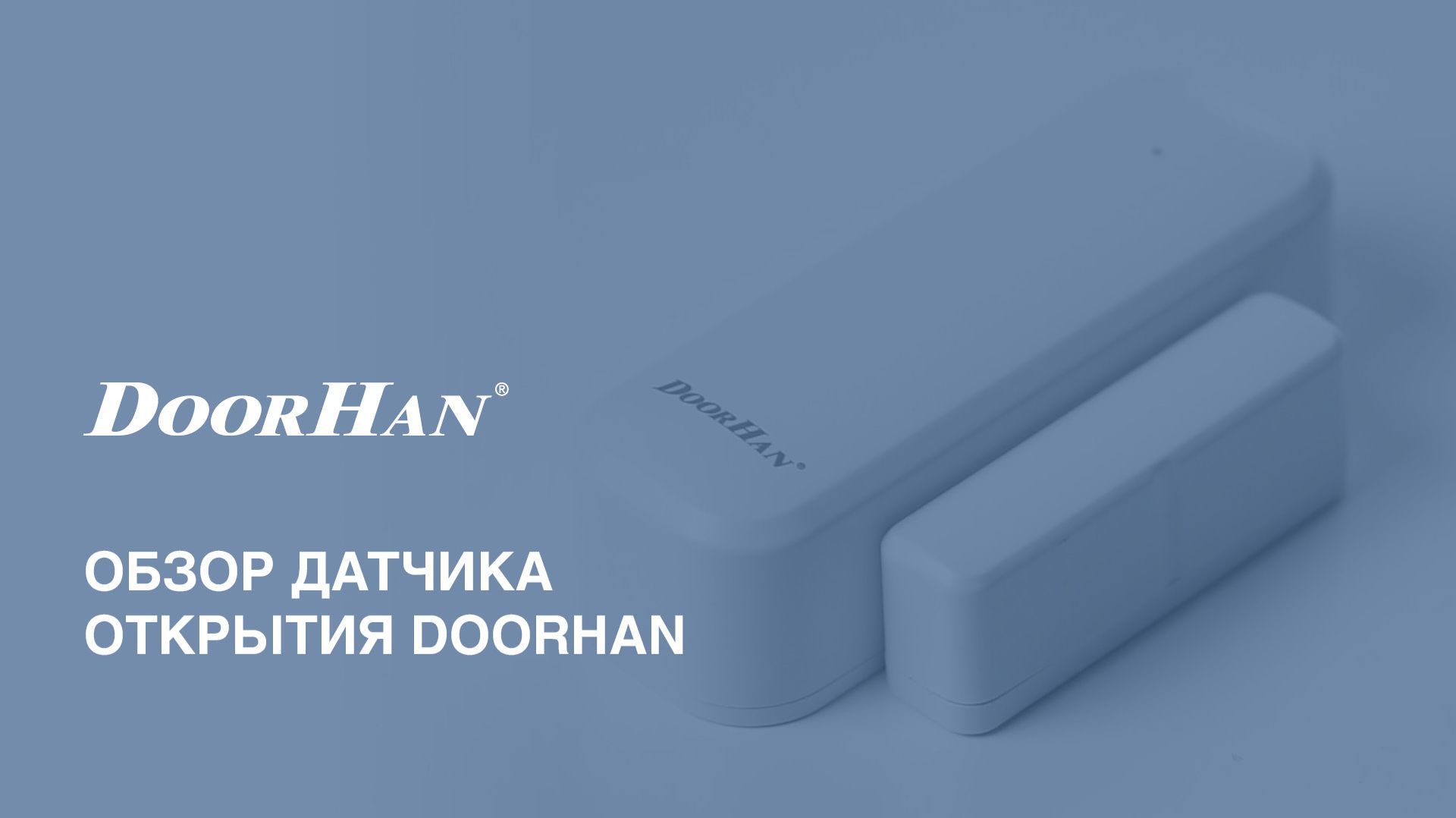 Ассортимент