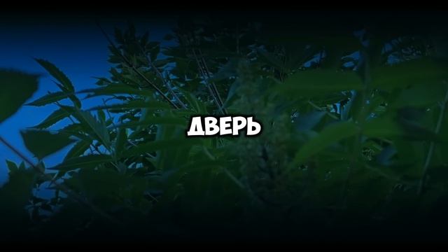 Свекровь хотела квартиру на деньги невестки. Но Марина вовремя услышала её разговор