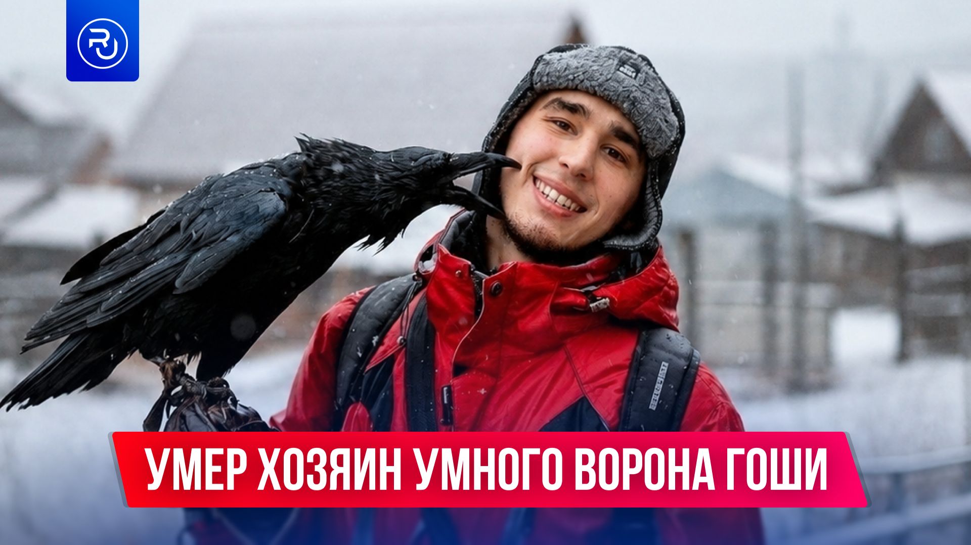 Умер хозяин умного ворона Гоши