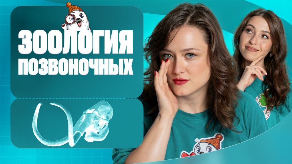 Зоология позвоночных | Полугодовик | ЕГЭ-2026 с Биологическим Тюленем | Stepenin.ru