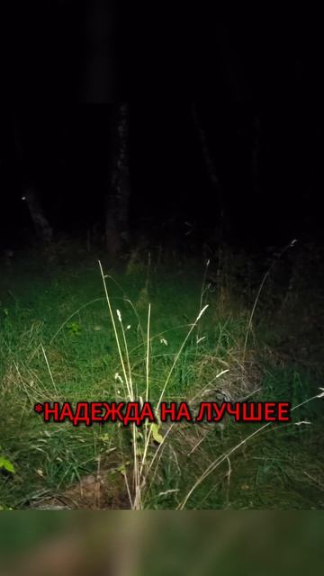 СНИМАЛ СТРАШНЫЕ ИСТОРИИ И НАШЁЛ ЭТО…