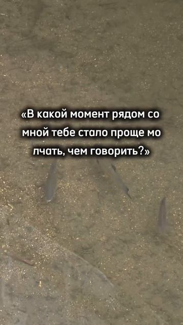 монолог мудреца