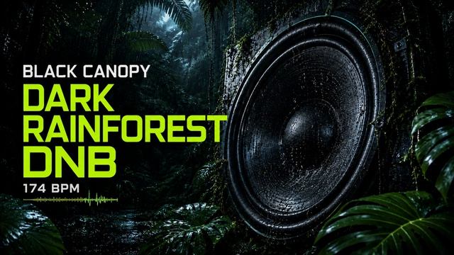 Dark Rainforest DnB 🌿 Deep Atmospheric Drum & Bass • 174 BPM