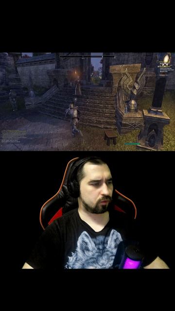 Когда на 60 секунд залетел в The Elder Scrolls Online