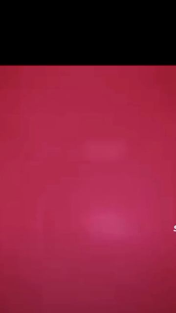 356.mp4