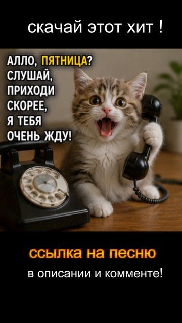 DKWX  - Ты держи меня нежно   #юмор #прикол #смешно #мем#настроение #танцы#romanticmusic #dancemusic