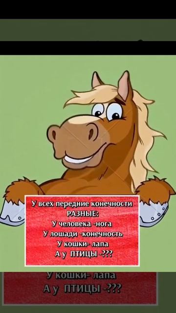 ТЕСТ. Знаешь? Пиши!
