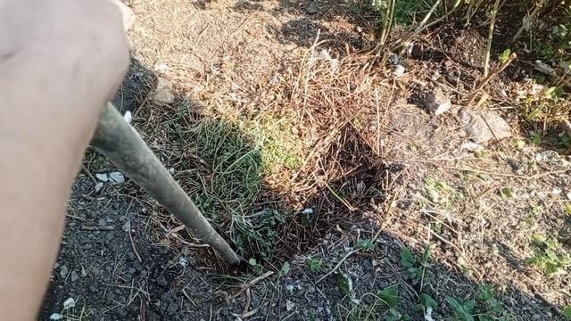 Как  решила вопрос со старой канализацией