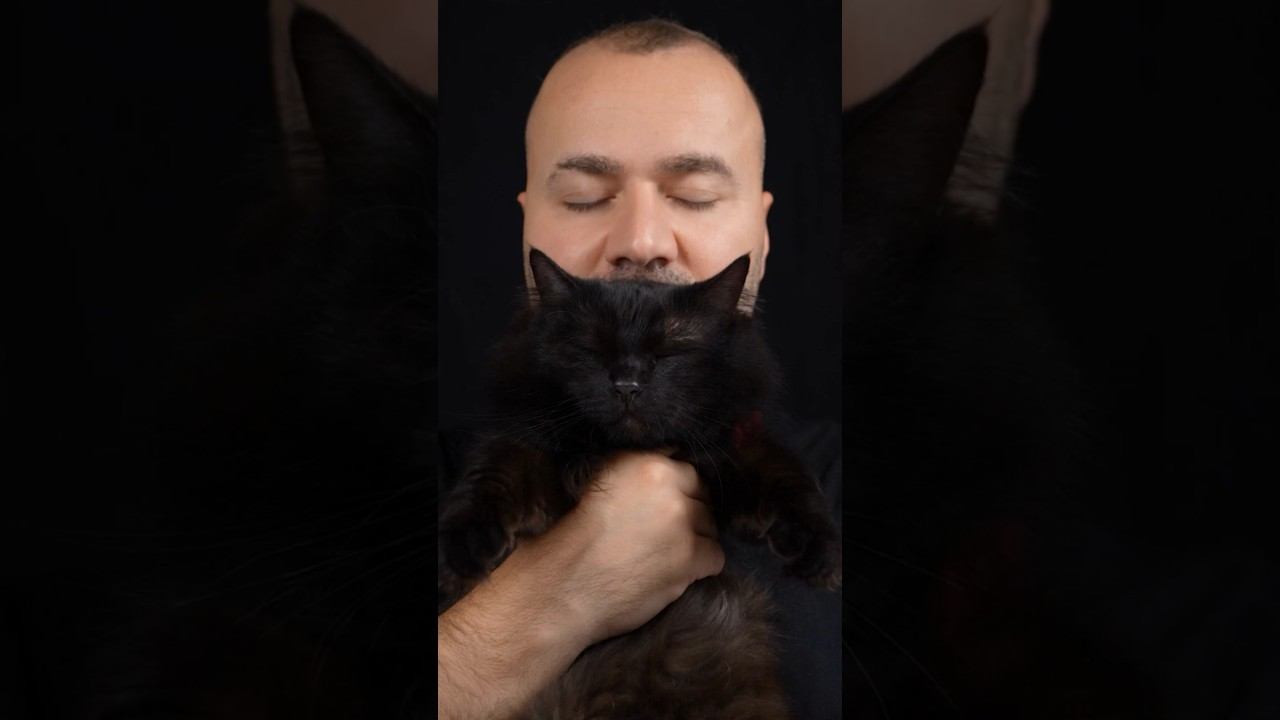 Делаем реалистичное видео с помощью ИИ #техноблог #техноблогер #технолайфхаки #ии