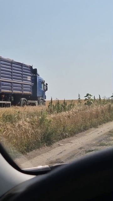 Кто сейчас тоже на уборке или за рулем? 🌾🚚
Пишите в комментариях, из какого вы региона