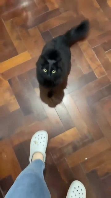 Нападение