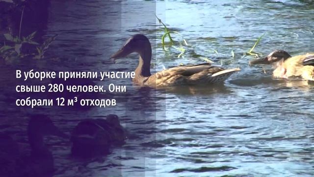 С заботой о природе Ракитянского округа