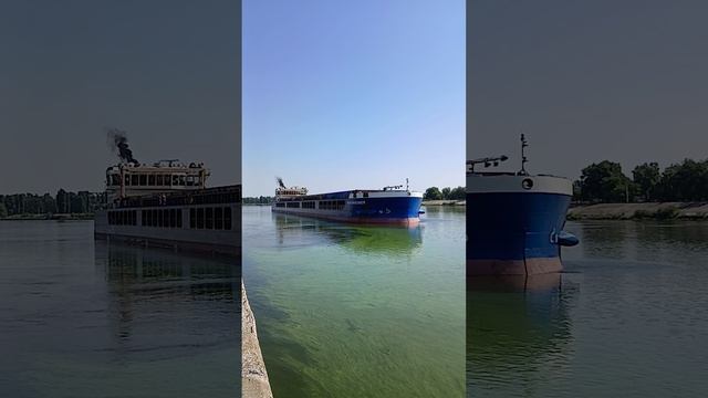 1000026022.mp4Волга.24.08.2026г.