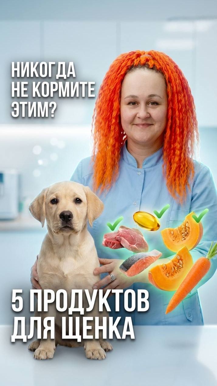 🐶 Чем кормить щенка: рацион для здорового роста — 5 обязательных компонентов