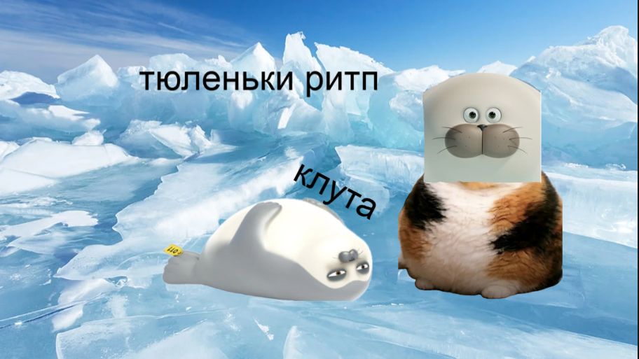 тюленьки ритп 5