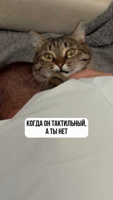 Когда он тактильный, а ты нет