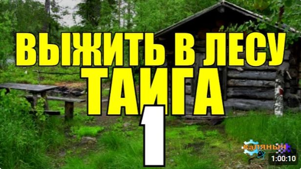 СУДЬБА ЧЕЛОВЕКА  ВЫЖИТЬ В ТАЙГЕ  ОТШЕЛЬНИКИ В ЗИМОВЬЕ  ПОХОД В ЛЕС 1 из 2