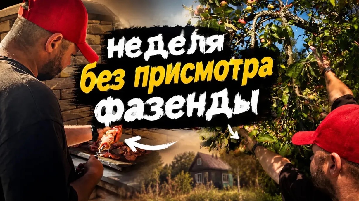 Небыло неделю, а разгрома на пол года. Что значит оставить фазенду без присмотра.