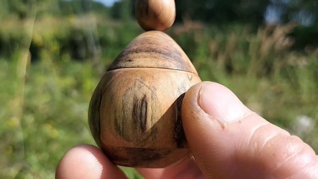 Шкатулка в августовском лесу с пухом кипрея