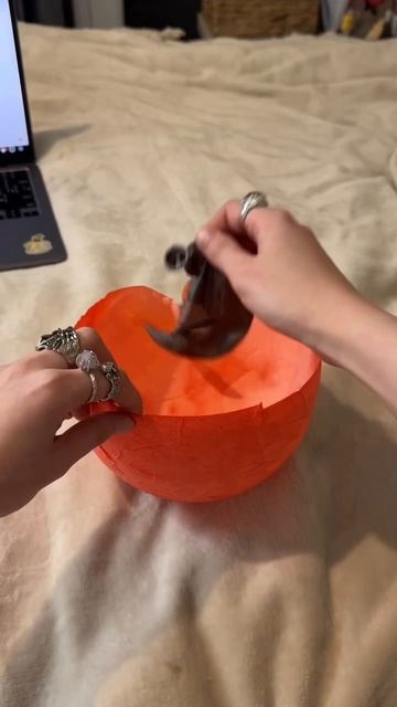 тутор