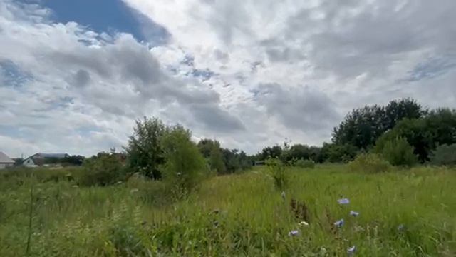 д. Трофимово, ул. Дачная