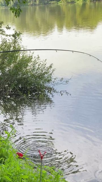 Рыбалка которая удалась