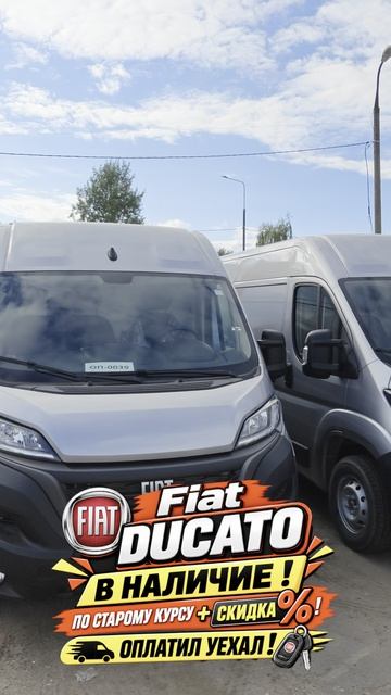 Торопитесь друзья! Свежая партия Ducato  разлетается как пирожки!