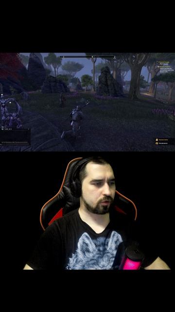 Когда на 60 секунд залетел в The Elder Scrolls Online