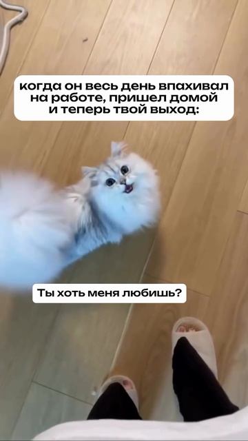 Жизненно