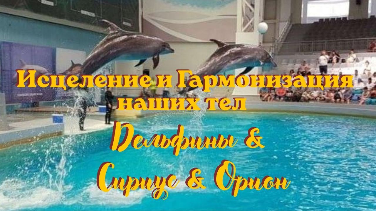 Исцеление и Гармонизация наших Тел. Дельфины & Сириус & Орион #дельфины #сириус #орион #24.08.2026