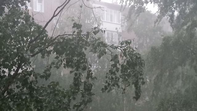 20260717_124948 - Дождь как из ведра