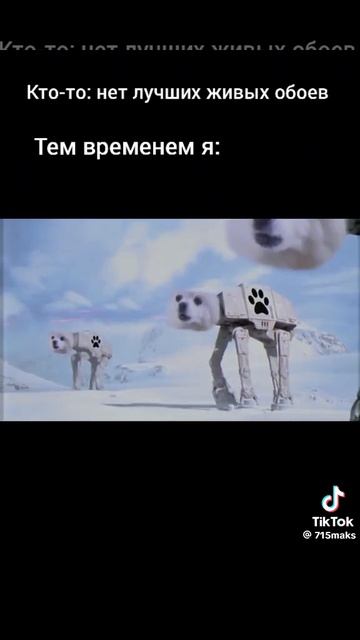 Лучший фон на телефон