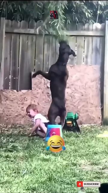 Это Понты И Точка 😼🫶😎