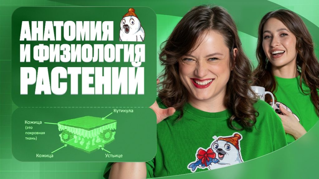 Анатомия и физиология растений  Полугодовик  ЕГЭ-2026 с Биологическим Тюленем  Stepenin.ru